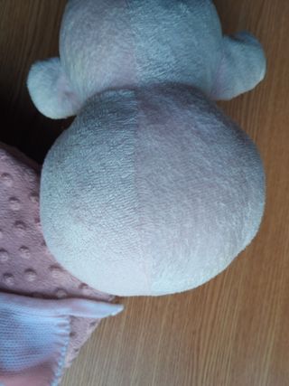 Lote peluche de bebé y manta