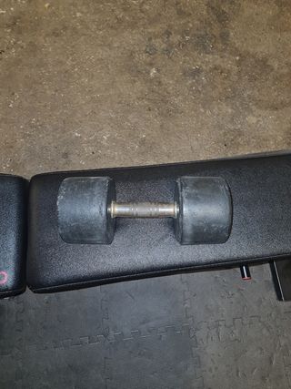 Mancuerna 24kg