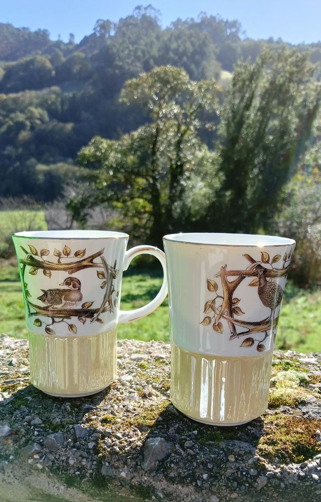 Tazas estilo vintage