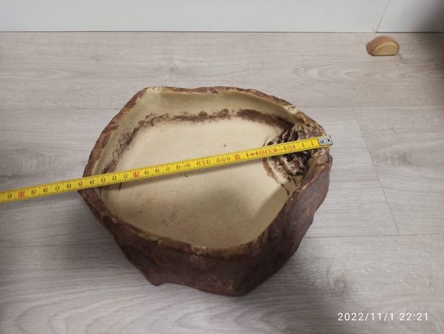 Bebedero comedero exoterra