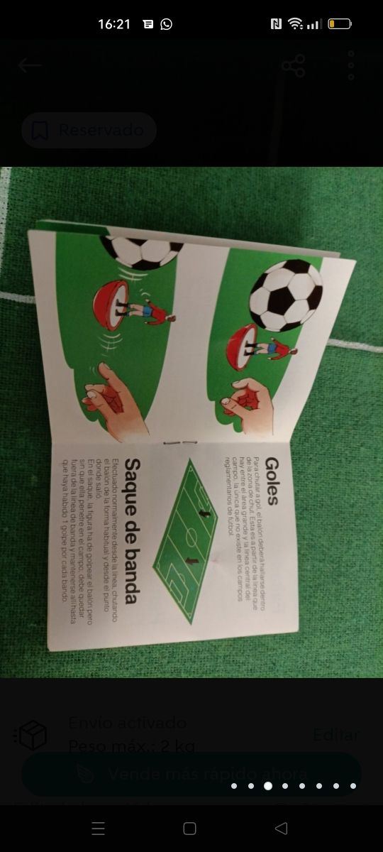 Subbuteo