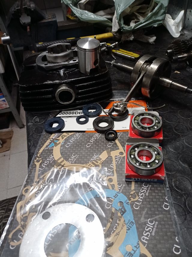 motores Puch,derbi, Rieju,variant,vespino