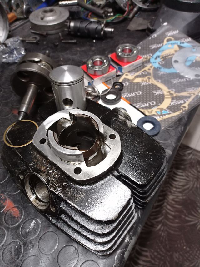 motores Puch,derbi, Rieju,variant,vespino