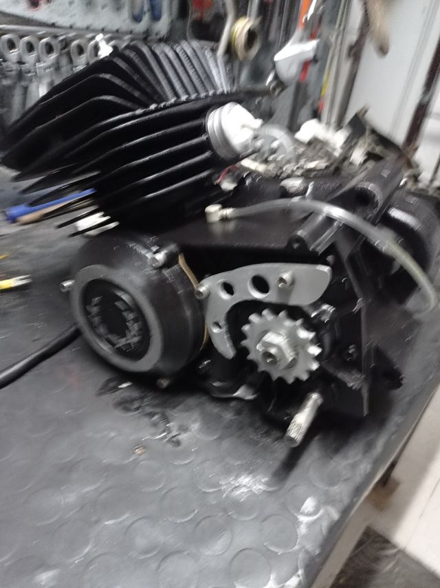 motores Puch,derbi, Rieju,variant,vespino