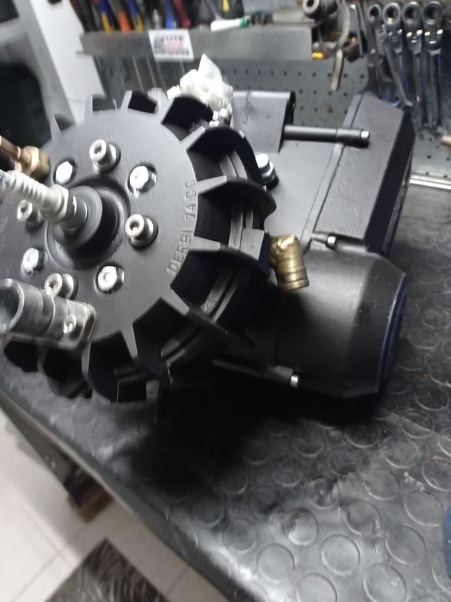 motores Puch,derbi, Rieju,variant,vespino