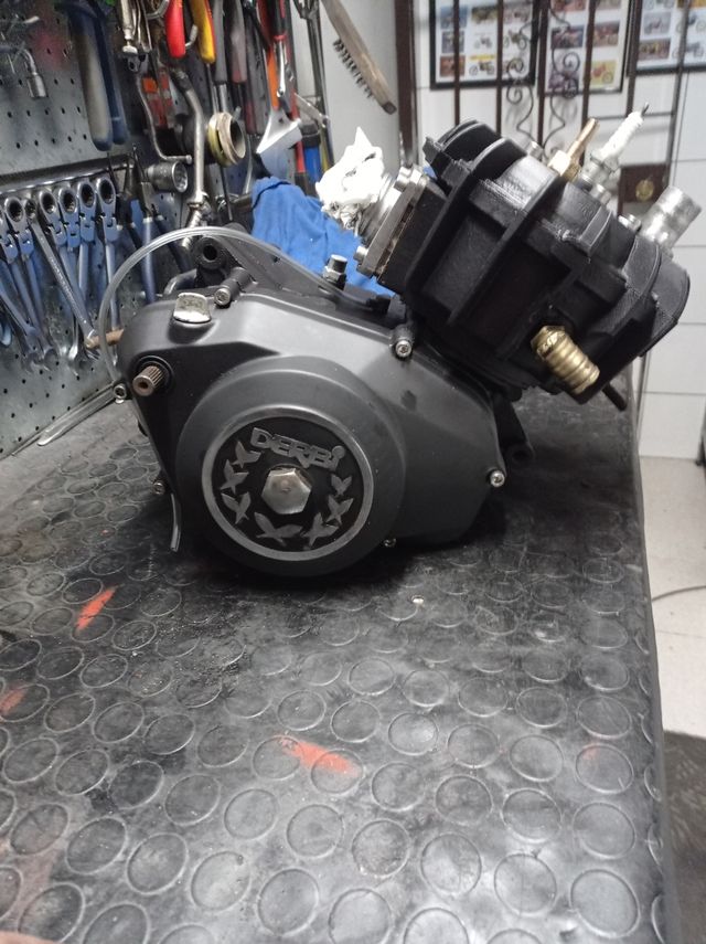 motores Puch,derbi, Rieju,variant,vespino