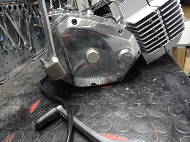 motores Puch,derbi, Rieju,variant,vespino