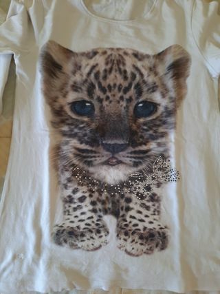 Camiseta niña gato