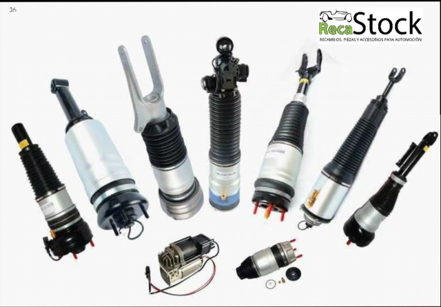 SUSPENSION NEUMATICA TURISMO  REF 22232004 r_06313