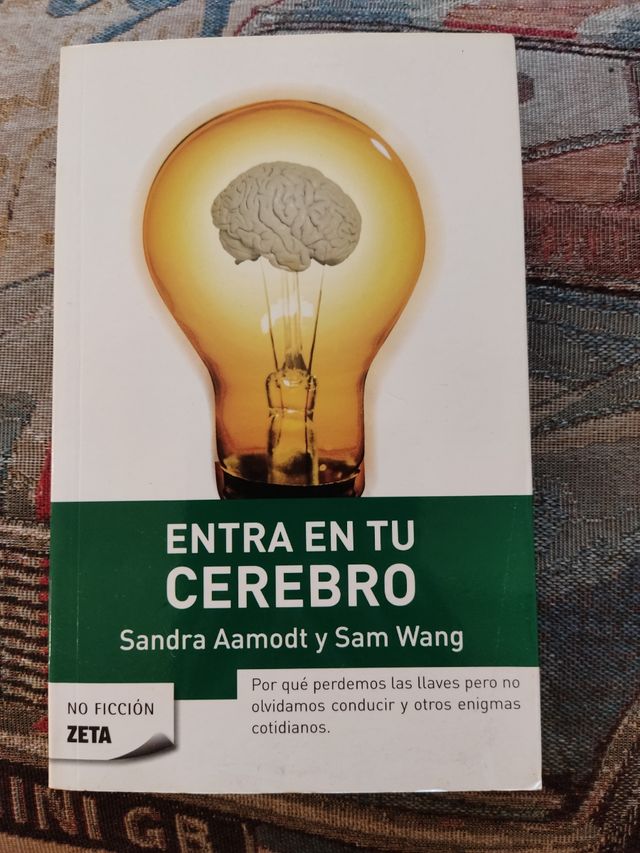 Entra en tu cerebro