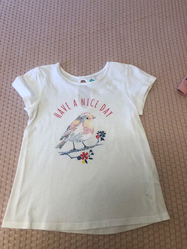 Lote camisetas manga corta