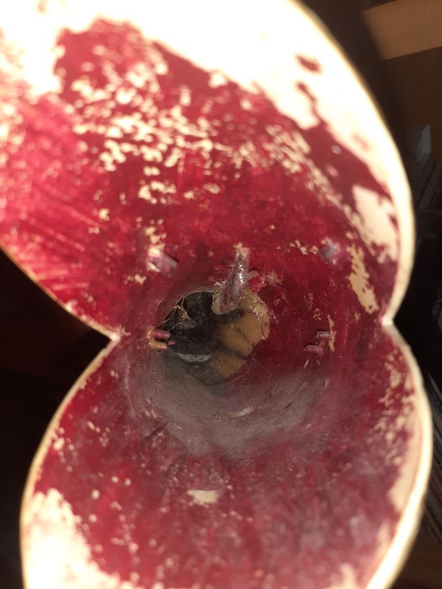 Corno intagliato a forma di pesce