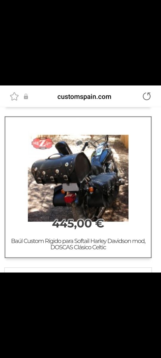 Lote Custom Baul, alforjas,ect...