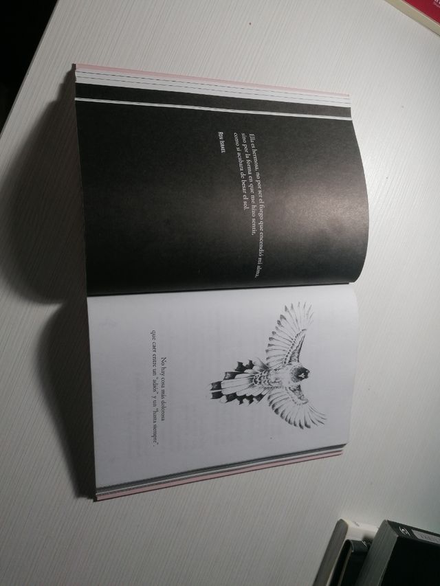 ¿Volamos? - Diego Bergara.