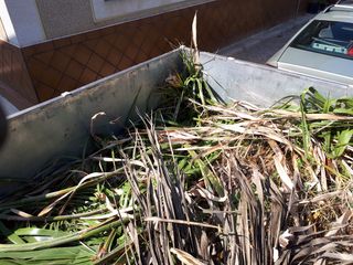 JARDINERO CON REMOLQUE