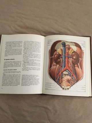 Enciclopedia de medicina y salud