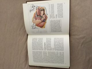 Enciclopedia de medicina y salud