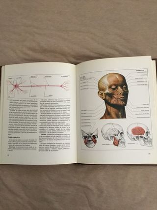 Enciclopedia de medicina y salud