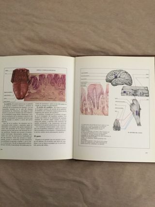 Enciclopedia de medicina y salud