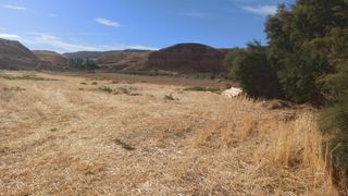Terreno en venta o alquiler