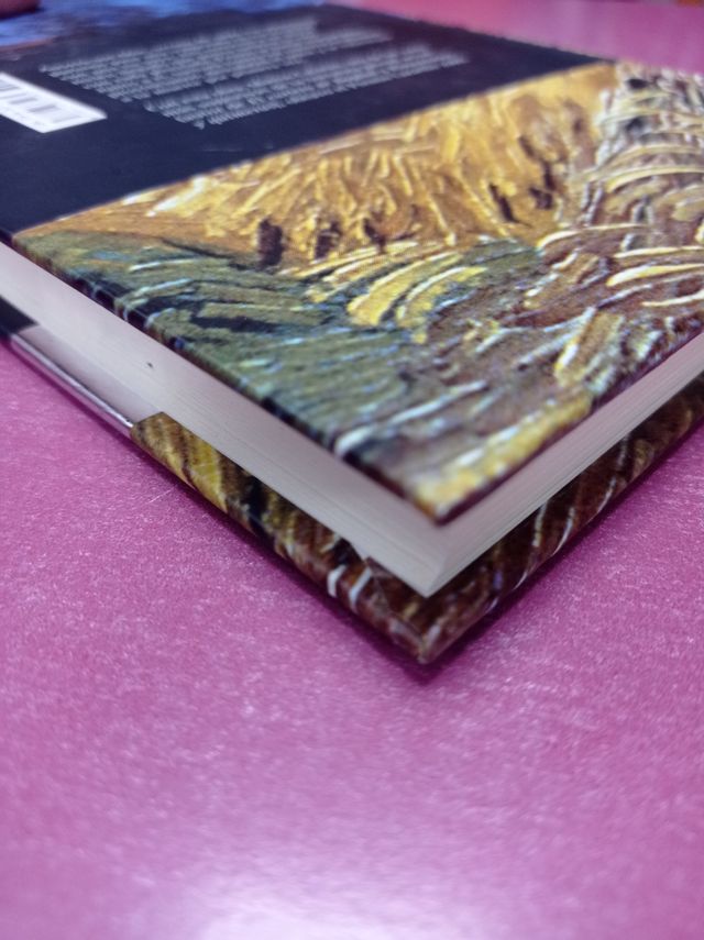 El pintor del sombrero de Malvas