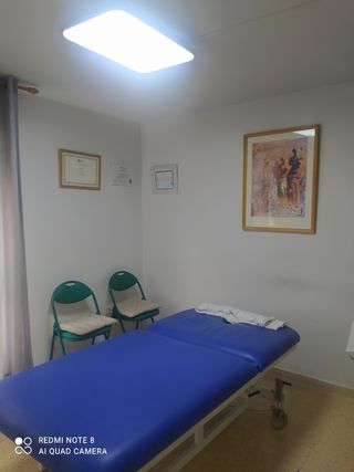 Fisioterapia económico