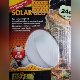 🦎 BOMBILLA PARA TERRARIO