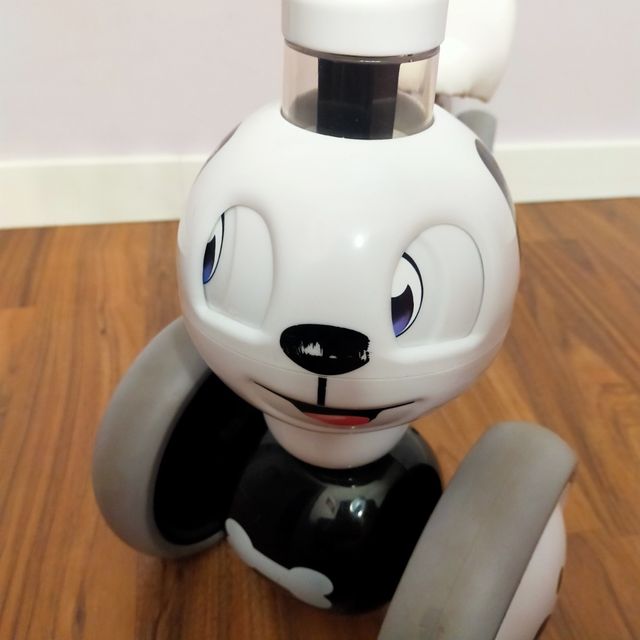 Bicicleta sin pedales