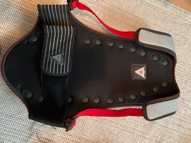 Dainese  back protection