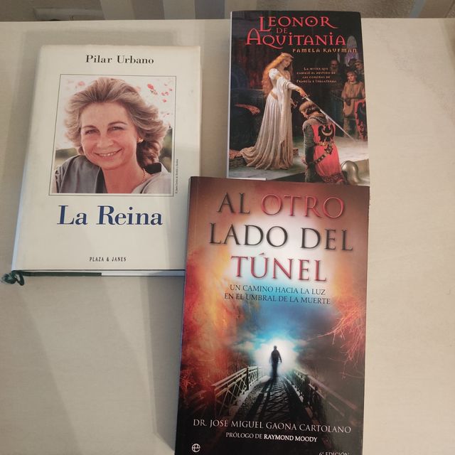 AL OTRO LADO DEL TÚNEL