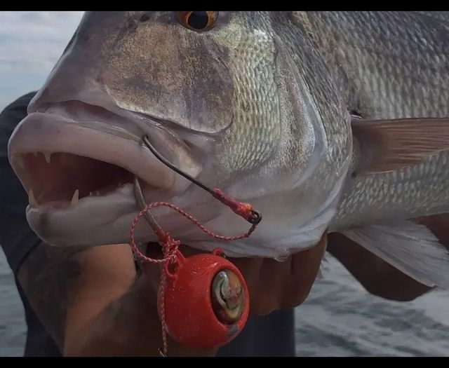 Zoka Ball de 180 grs