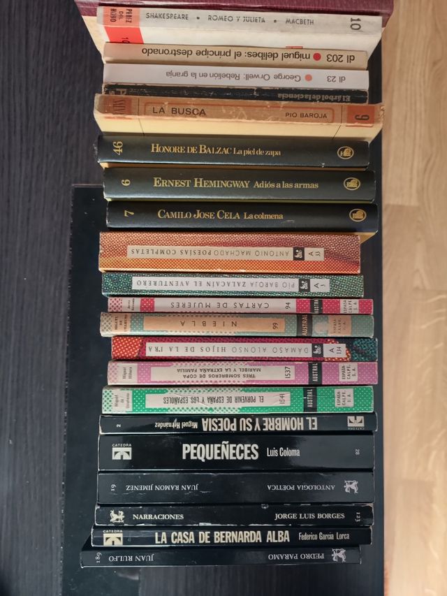 libros clásicos literura. Lecturas obligatorias.