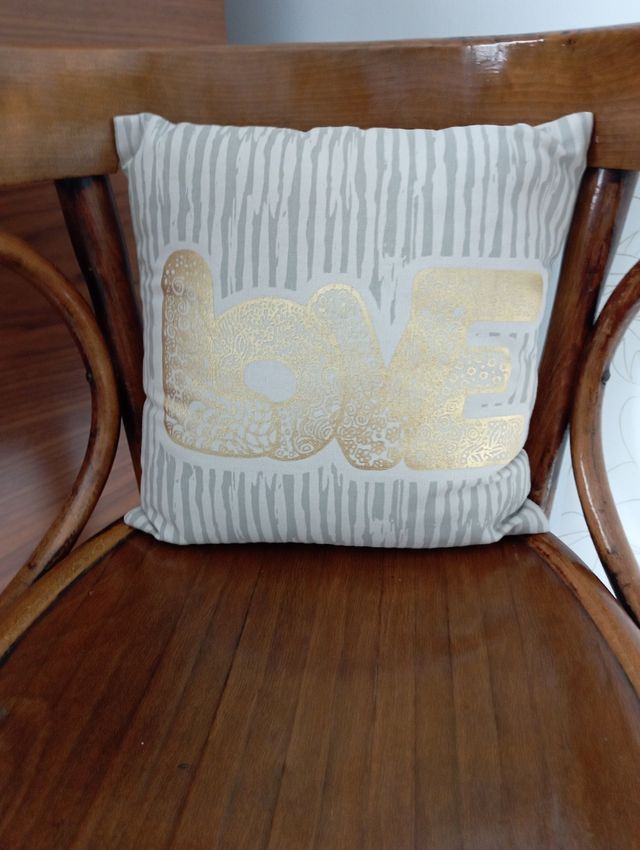 2 cojines decorativos originales bajo el precio