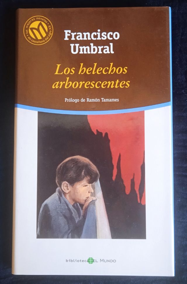 Los helechos arborescentes