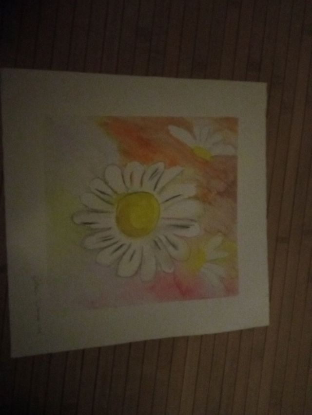 disegno su cartoncino