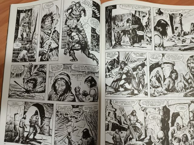 La Espada Salvaje de Conan N° 24 Segunda Edición