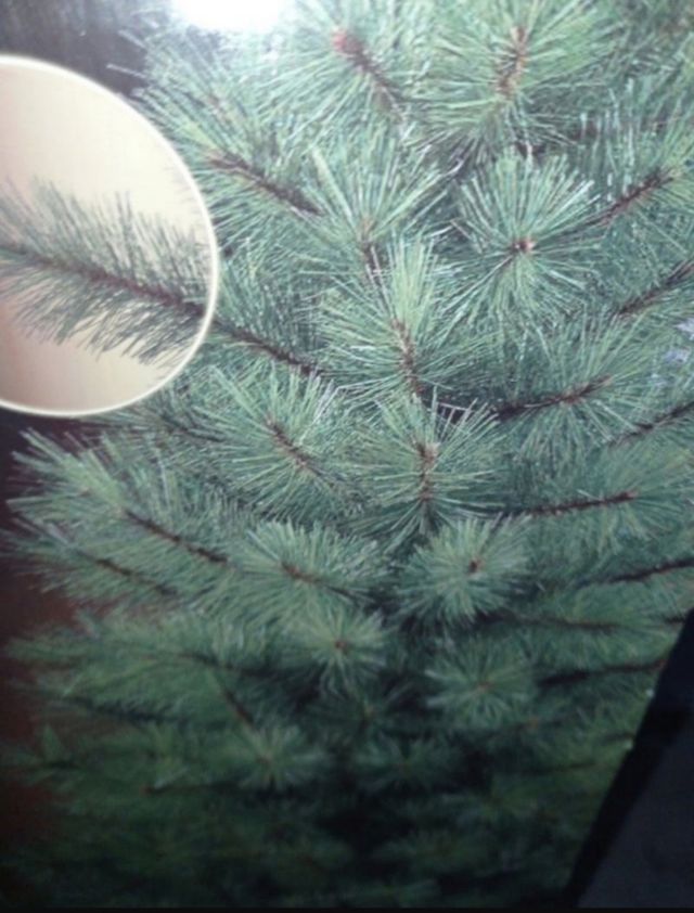 Árbol de navidad 150 cm estilo natural. Nuevo a es
