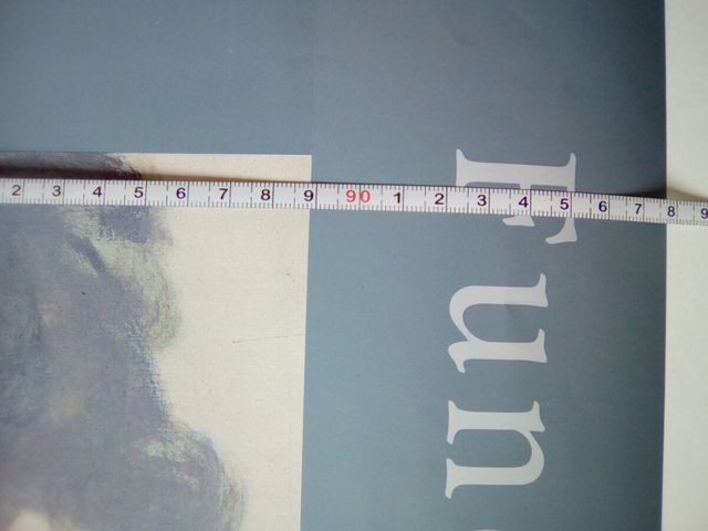 Lámina /Póster / affiche Los Agapanthus de Monet