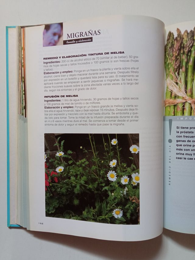 Libro La botica de Txumari, de  Txumari Alfaro