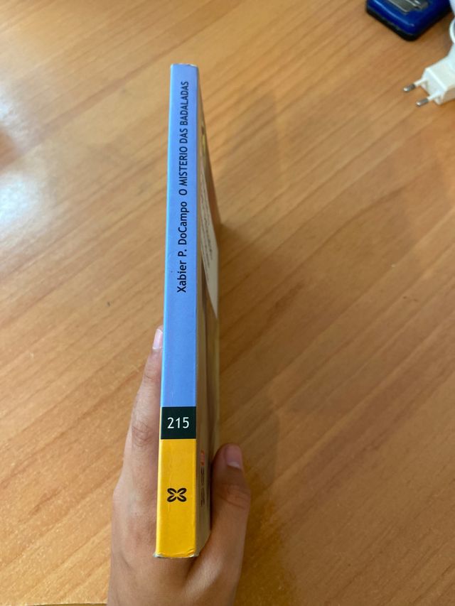 O misterio das badaladas, Xavier P. DoCampo