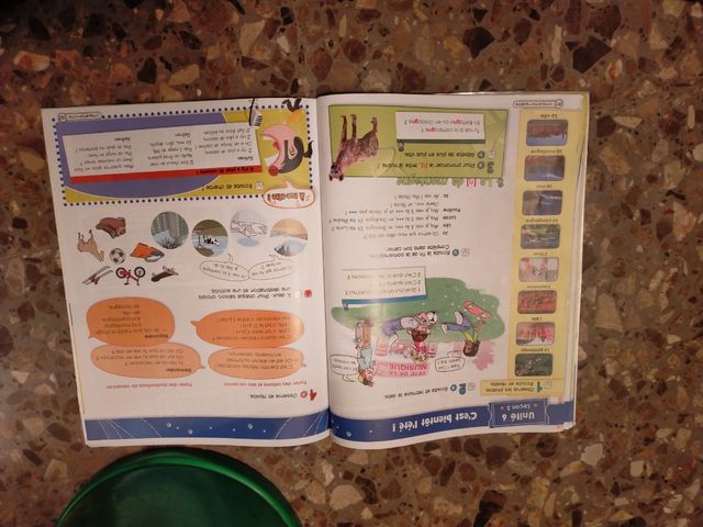 Libros de francés de 5°