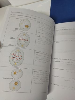 Anatomía y fisiología humanas básicas Akal