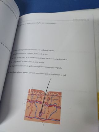 Anatomía y fisiología humanas básicas Akal