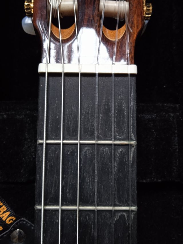 Chitarra Alhambra 6P