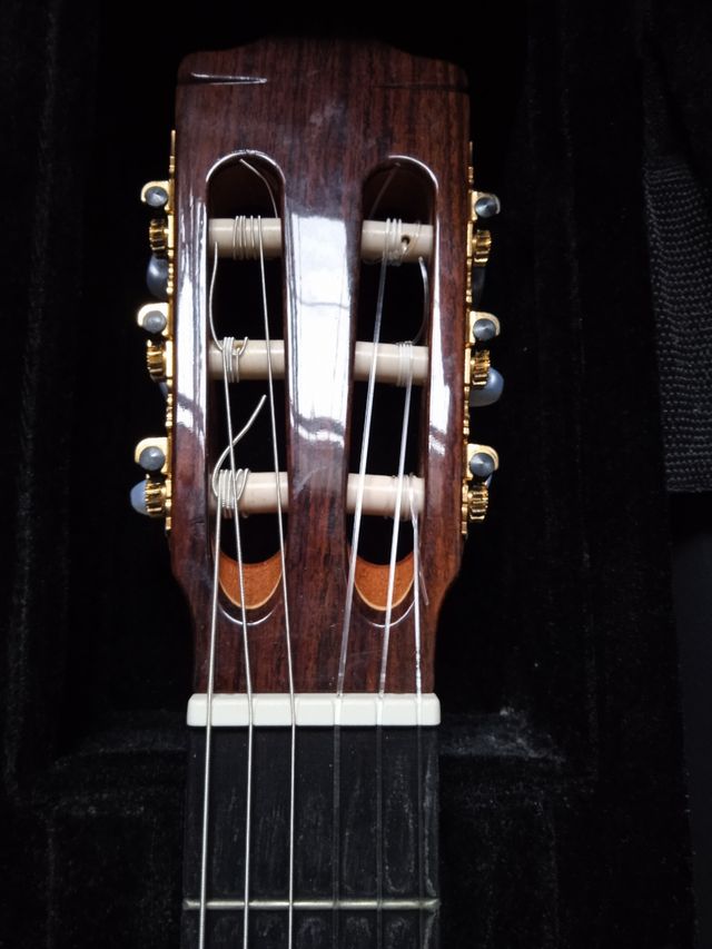 Chitarra Alhambra 6P