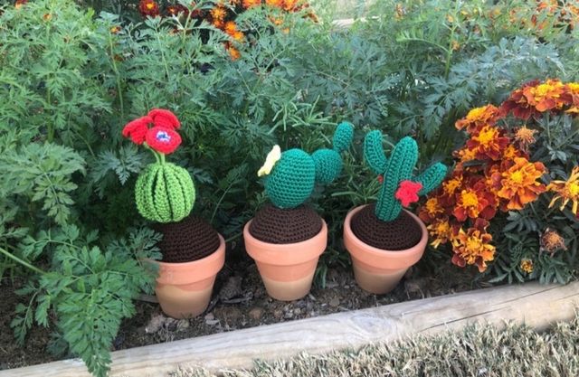 Precioso cactus de crochet con macetero