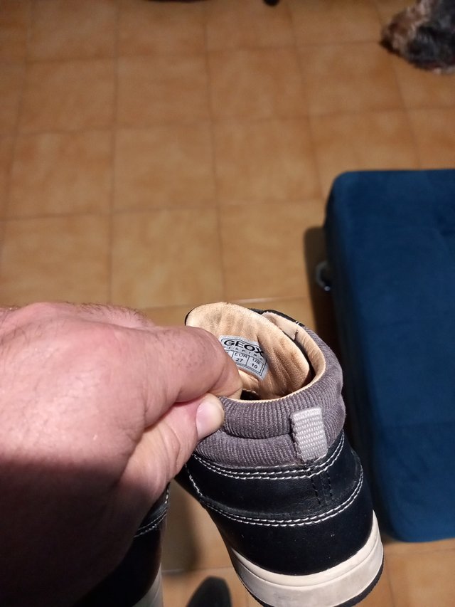 botines GEOX número 27 para niño