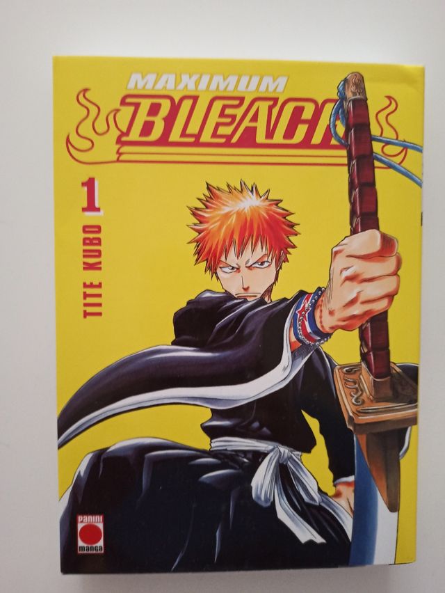 Maximum Bleach 1