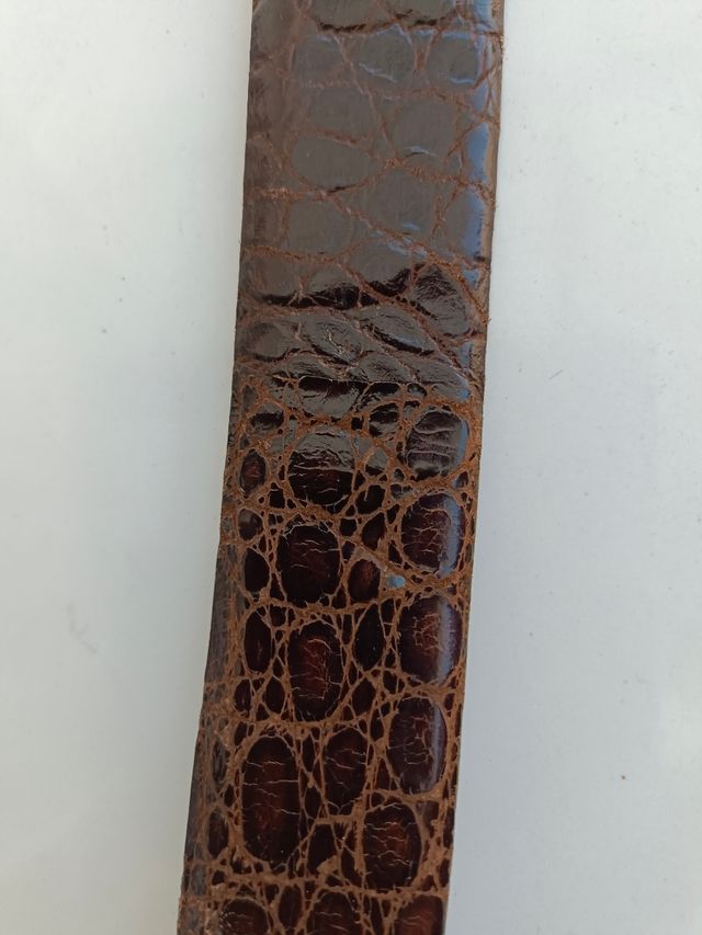 cinturón de primerísima categoria