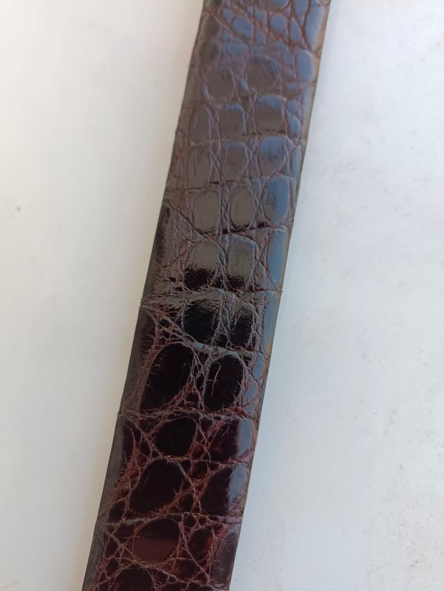 cinturón de primerísima categoria